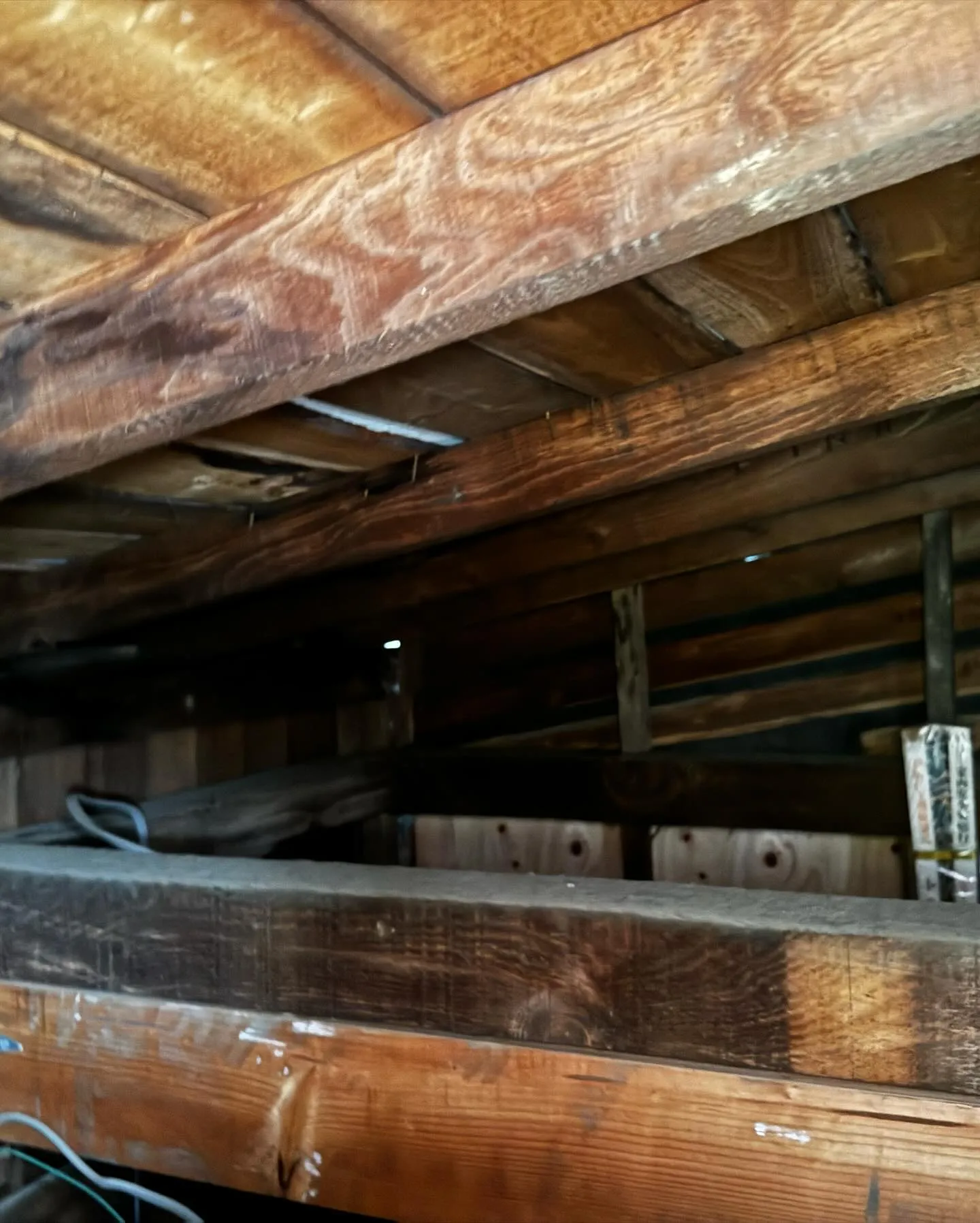 ご自宅の外壁診断を開始しました！🏡🔍