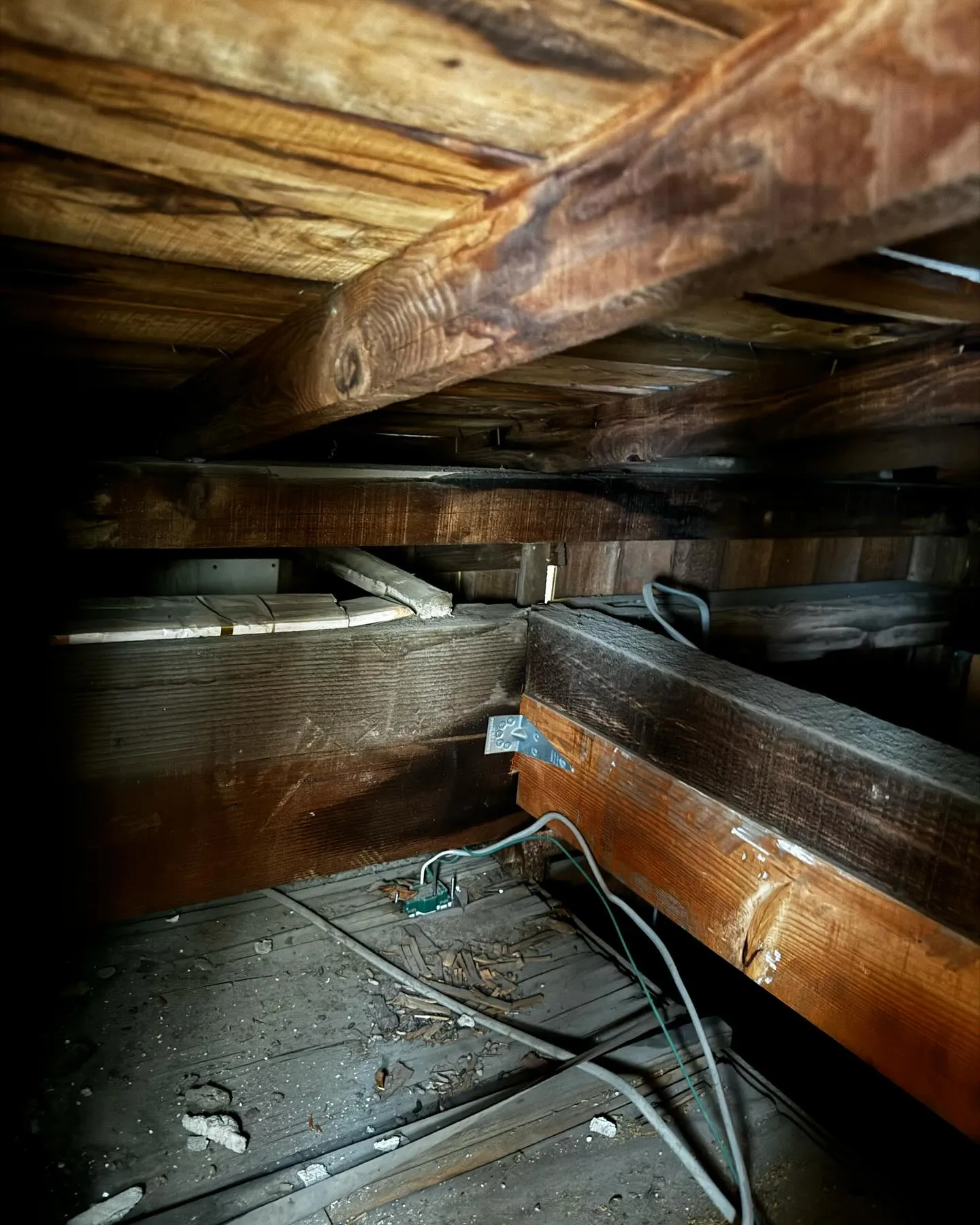 ご自宅の外壁診断を開始しました！🏡🔍