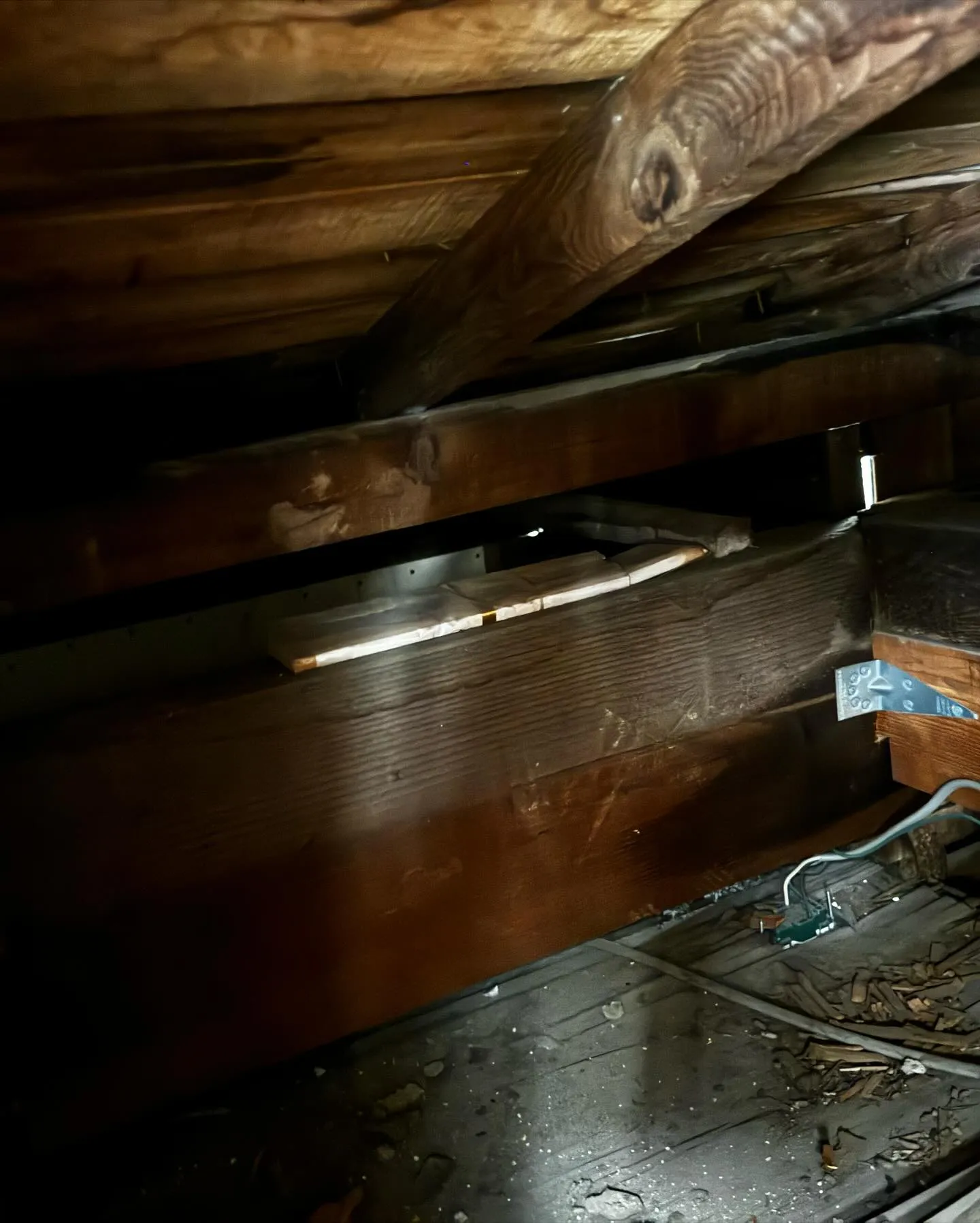 ご自宅の外壁診断を開始しました！🏡🔍