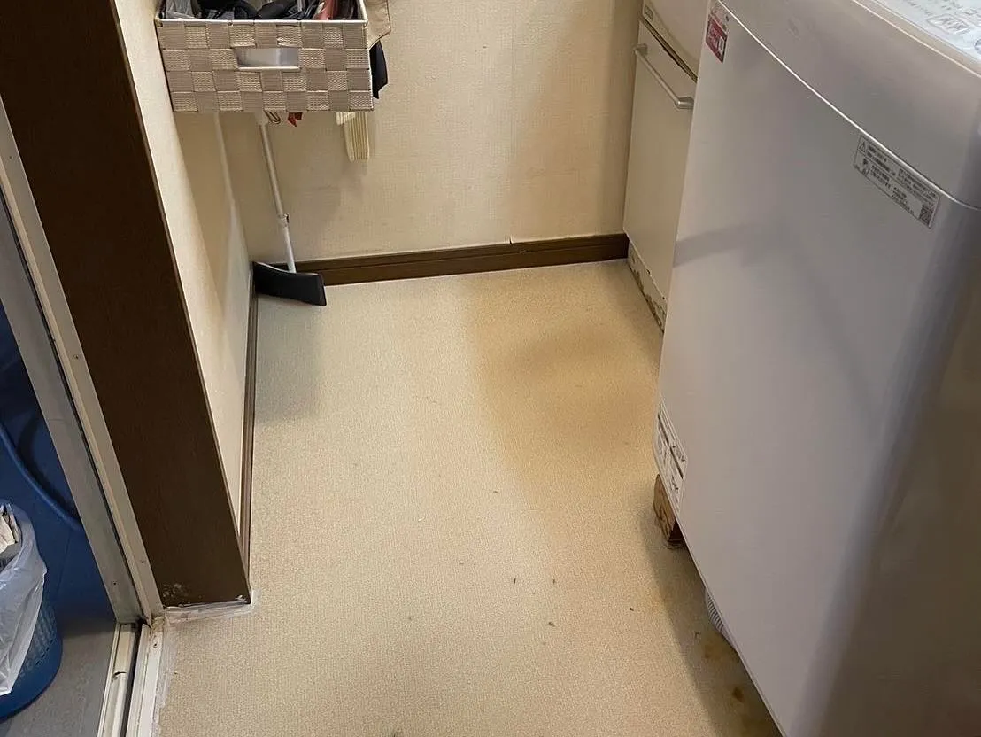 夏本番!外壁リフレッシュ特別価格&求人情報 🏡